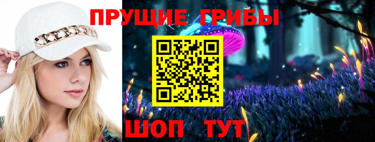 Псилоцибиновые грибы GOLDEN TEACHER  Вход с VPN  Чебоксары 